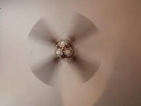 lilbishmiss online show from November 19, 2025, 4:40 pm