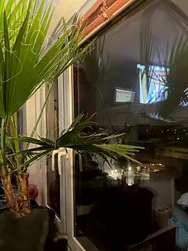 pillepallex84x online show from January 9, 2026, 4:54 pm