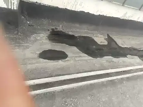 Snapshot of Gururonny07 chatting on January 15, 2025, 5:29 am Gururonny07 online show from January 15, 2025, 5:29 am