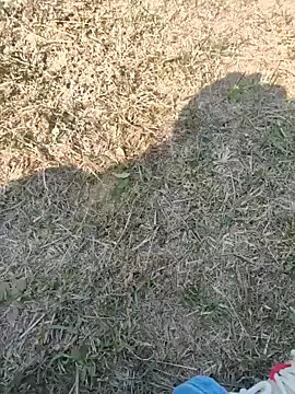 Snapshot of Gururonny07 chatting on January 27, 2025, 7:45 am Gururonny07 online show from January 27, 2025, 7:45 am