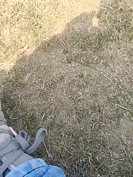 Snapshot of Gururonny07 chatting on February 19, 2025, 7:28 am Gururonny07 online show from February 19, 2025, 7:28 am