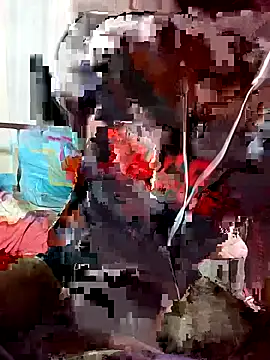 saraieevosarai online show from February 19, 2025, 11:17 am