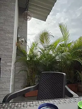 Laura fernandezII online show from February 24, 2026, 1:31 pm