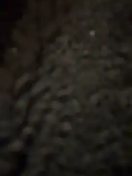 Snapshot of cicciolina chatting on January 31, 2025, 9:16 pm cicciolina online show from January 31, 2025, 9:16 pm