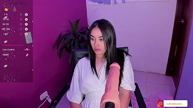  sulmatevans  online show from January 23, 2025, 11:37 am