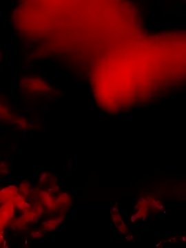 DaniSexFlow online show from March 31, 2026, 8:04 am