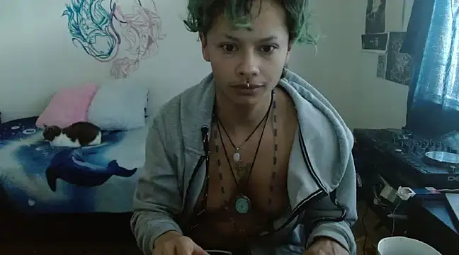 fenixmfx19 online show from December 19, 2024, 1:07 pm