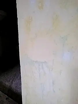 Snapshot of PayalSharmahot143 chatting on October 17, 2025, 1:53 am PayalSharmahot143 online show from October 17, 2025, 1:53 am