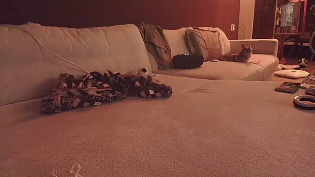 Snapshot of Nina24 chatting on October 16, 2025, 6:42 pm Nina24 online show from October 16, 2025, 6:42 pm