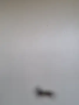 BriannaVincent online show from January 7, 2026, 4:59 am