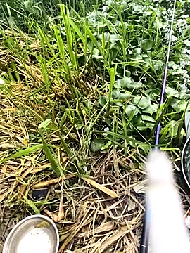 huzi518 online show from September 27, 2025, 3:33 am