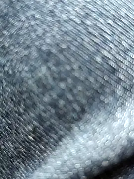 huzi518 online show from April 13, 2026, 2:39 am