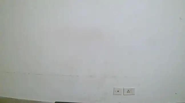 collage hoty online show from January 8, 2025, 1:00 am