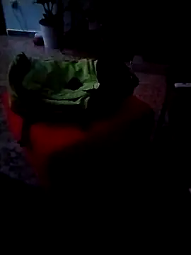 minitranca online show from February 26, 2026, 9:58 pm