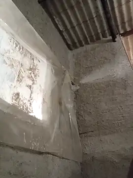 strip 1212 online show from November 16, 2025, 2:55 pm