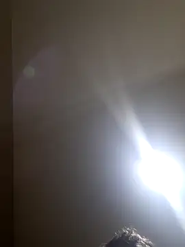 Colorao4 online show from November 7, 2025, 11:32 am