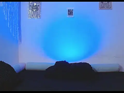 tylor boy online show from June 4, 2026, 3:56 am