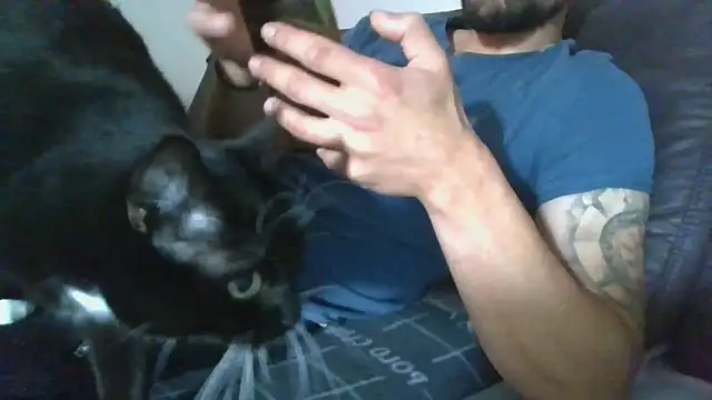 Kevoon991 online show from November 20, 2025, 8:47 am