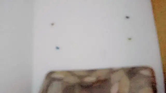 TatiGil online show from April 10, 2026, 8:46 pm