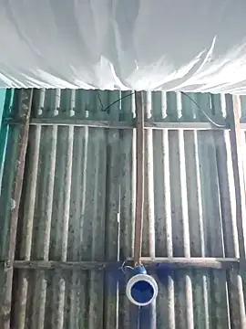 Snapshot of hotbaby_5 chatting on October 28, 2025, 2:53 pm hotbaby 5 online show from October 28, 2025, 2:53 pm