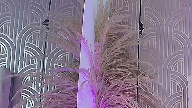 Snapshot of LeylaRangel chatting on October 25, 2025, 3:47 am LeylaRangel online show from October 25, 2025, 3:47 am