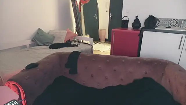 ce leste   online show from January 10, 2026, 6:59 am