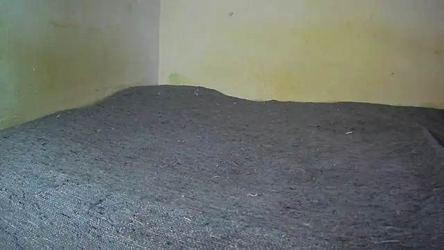 Snapshot of fern_tlk chatting on December 17, 2024, 8:21 pm fern tlk online show from December 17, 2024, 8:21 pm