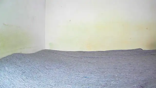 Snapshot of fern_tlk chatting on January 19, 2025, 7:58 pm fern tlk online show from January 19, 2025, 7:58 pm