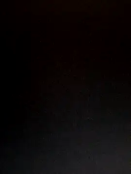 Snapshot of lisa_larry88 chatting on November 13, 2025, 4:22 am lisa larry88 online show from November 13, 2025, 4:22 am