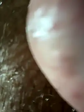 panigalenew online show from December 2, 2024, 1:58 am