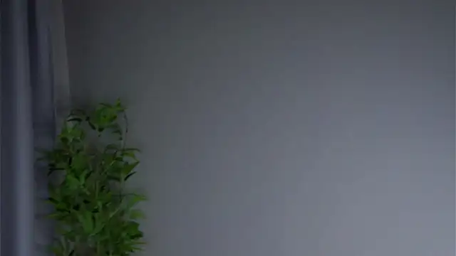 AftonConnett online show from February 23, 2026, 1:03 am