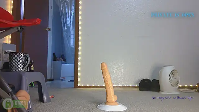 Snapshot of SlammyDjr chatting on March 14, 2025, 8:28 pm SlammyDjr online show from March 14, 2025, 8:28 pm