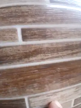 Snapshot of Pr3To021 chatting on March 20, 2025, 6:31 pm Pr3To021 online show from March 20, 2025, 6:31 pm