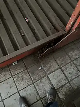 A-mira online show from March 21, 2025, 9:56 am