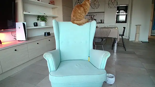 Snapshot of Kotis_Foxy chatting on October 3, 2025, 2:58 pm Kotis Foxy online show from October 3, 2025, 2:58 pm