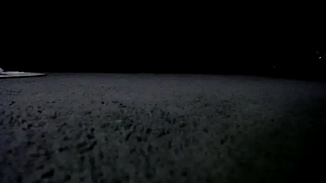 Niquitasparkles online show from January 24, 2025, 10:00 am