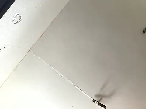 Ozomitro online show from March 17, 2026, 1:03 pm