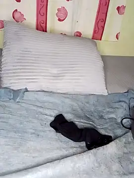 Snapshot of Anal_Fisting9 chatting on December 1, 2024, 11:36 pm Anal Fisting9 online show from December 1, 2024, 11:36 pm