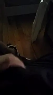 FreakyMixCouple69 online show from January 15, 2025, 8:16 pm