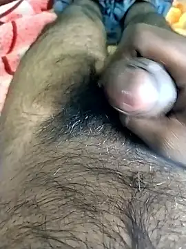 Snapshot of jellydicks chatting on November 9, 2025, 11:52 am jellydicks online show from November 9, 2025, 11:52 am