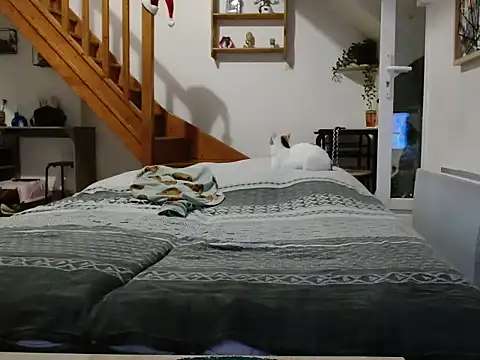 Snapshot of Lauzo21 chatting on December 5, 2025, 6:33 am Lauzo21 online show from December 5, 2025, 6:33 am