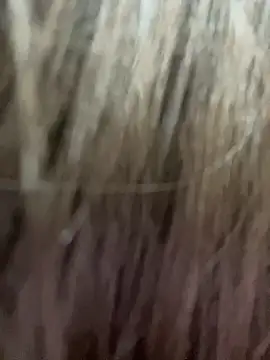 xyebobs online show from October 1, 2025, 1:28 pm