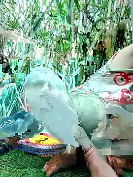 Snapshot of Betty20zx chatting on November 12, 2025, 2:01 am Betty20zx online show from November 12, 2025, 2:01 am