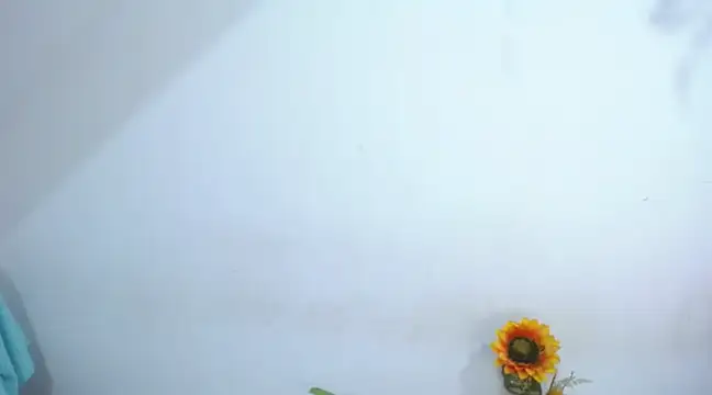 Snapshot of diamonmeli chatting on January 14, 2025, 3:57 pm diamonmeli online show from January 14, 2025, 3:57 pm