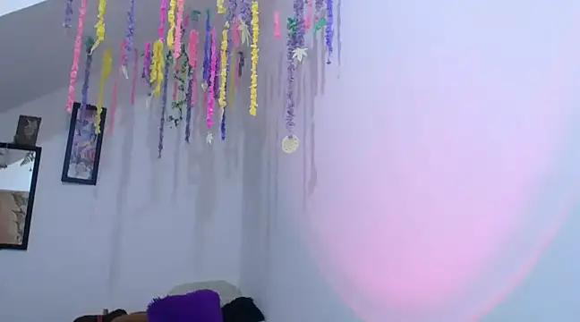 Snapshot of diamonmeli chatting on January 30, 2025, 9:36 pm diamonmeli online show from January 30, 2025, 9:36 pm