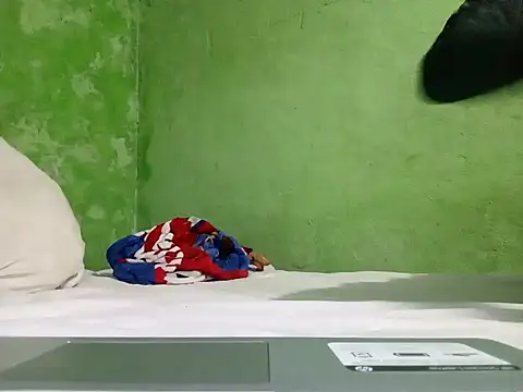 Snapshot of ruygw chatting on December 7, 2024, 4:20 am ruygw online show from December 7, 2024, 4:20 am