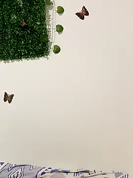 DalianHR33 online show from March 19, 2026, 2:21 pm