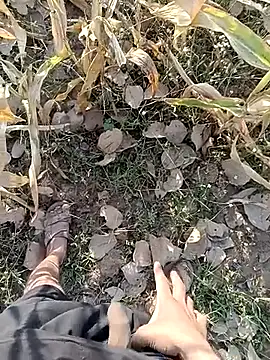 Piyush 2024 online show from March 11, 2026, 1:55 am