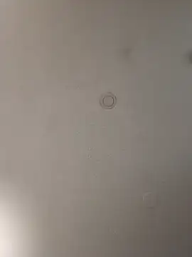 geilerschwanz64 online show from January 15, 2025, 8:37 pm