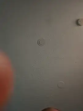 geilerschwanz64 online show from March 3, 2025, 5:50 pm